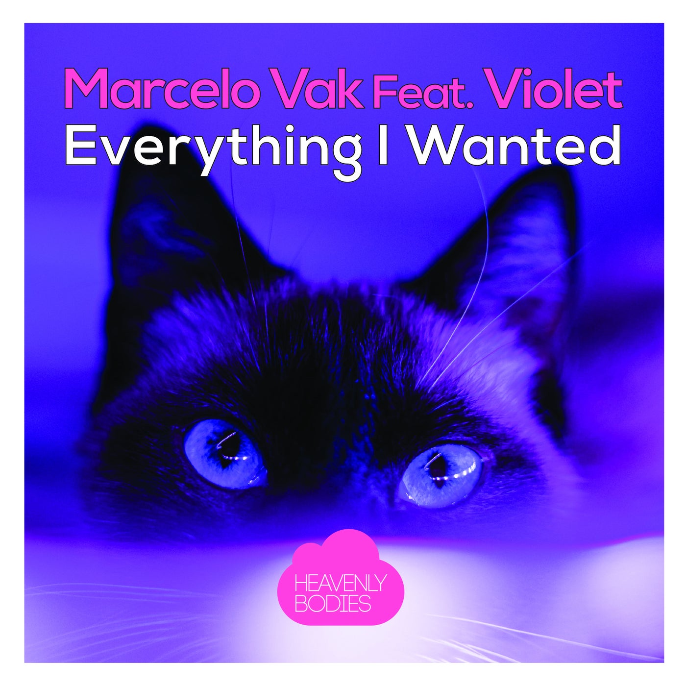 Marcelo Vak, Violet - Everything I Wanted [HBS371]